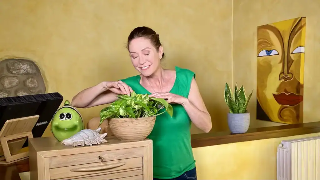 Tessa Gelisio, insetti