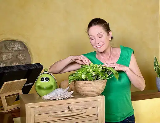 Hai questi insetti in casa? Non ucciderli, ti aiutano