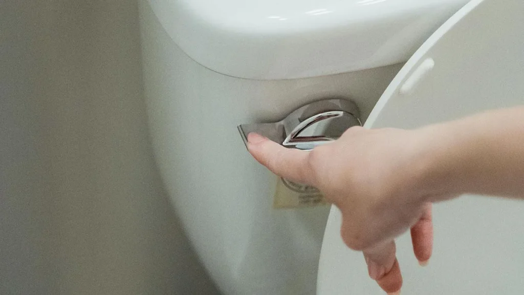Scarico del WC