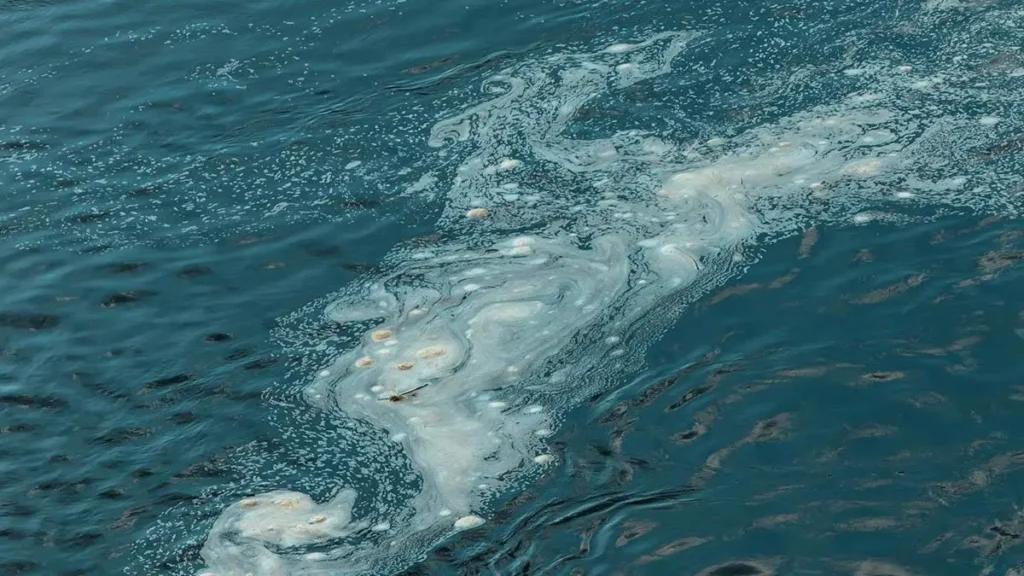Mare inquinato
