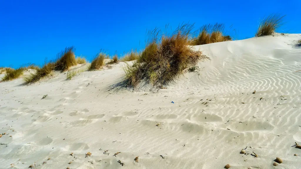 Dune in spiaggia