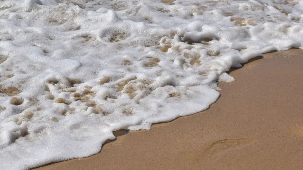 Schiuma al mare