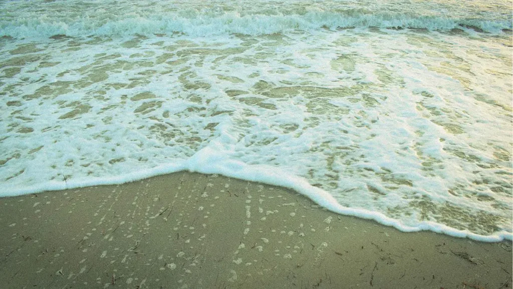 Schiuma del mare