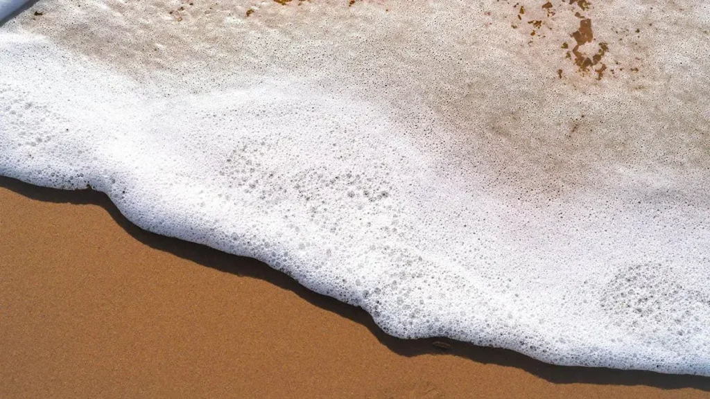 Schiuma in spiaggia