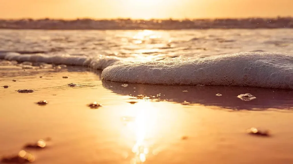 Schiuma al tramonto