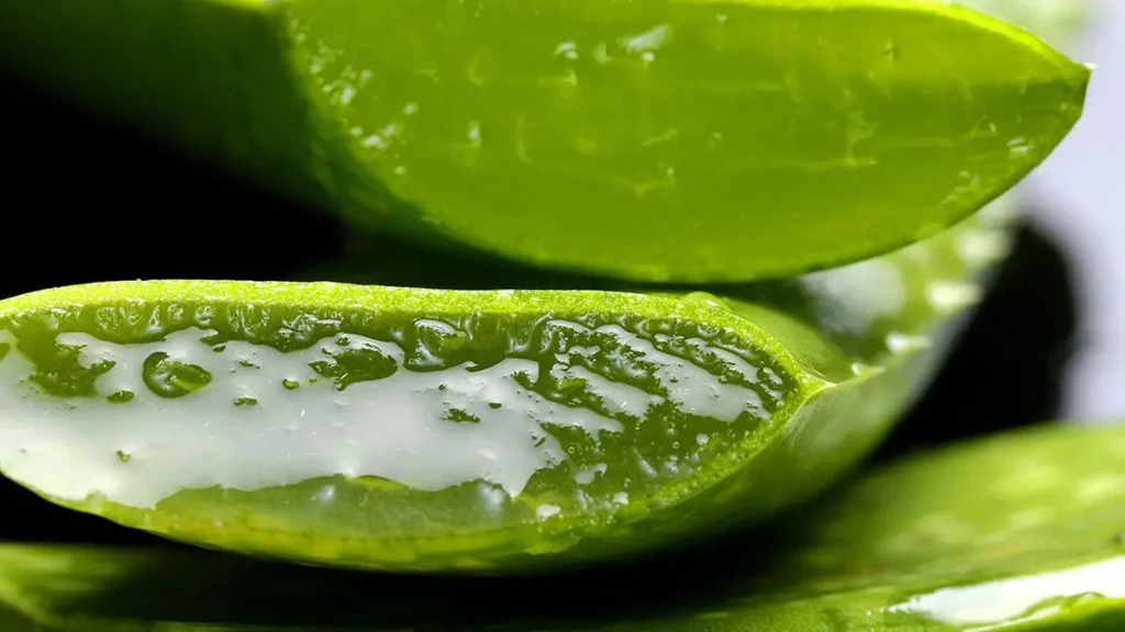 Aloe per la pelle